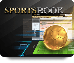 Exploring the Exciting World of Poker Online Tournaments