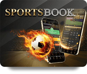 Exploring the Exciting World of Poker Online Tournaments